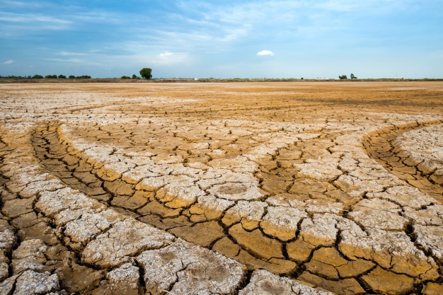 Soil pollution